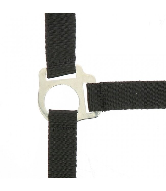 RW HALTER+ROPE - Black