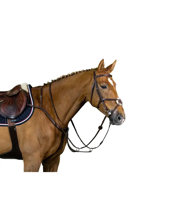 TRUST OSLO MEXICAN NOSEBAND BRIDLE - Brown