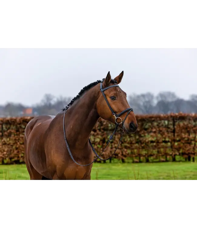 TRUST HAMBURG TRAINING BRIDLE - Black