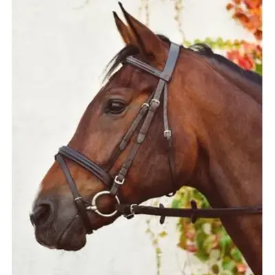 Bridles & Accessories
