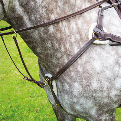 Reins, Breastplates & Martingales