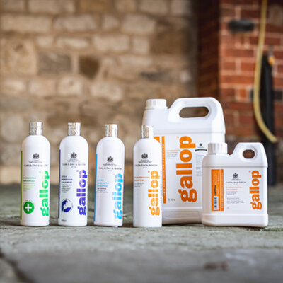 Shampoos, Sprays & Sponges