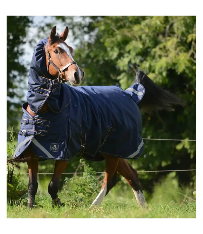 WICKLOW HEAVY TURNOUT RUG 360g W/DETACHABLE NECK Navy/Gold