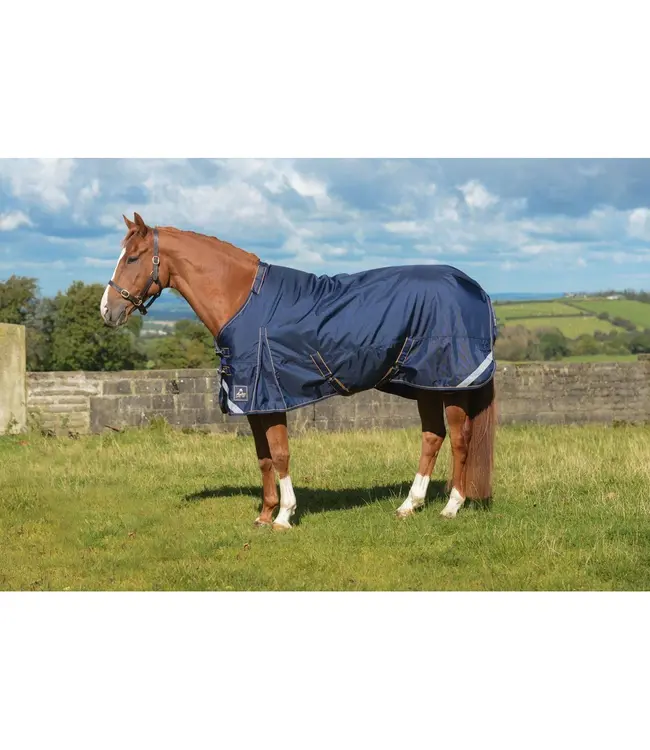 WICKLOW HEAVY TURNOUT RUG 360g - Navy/Gold