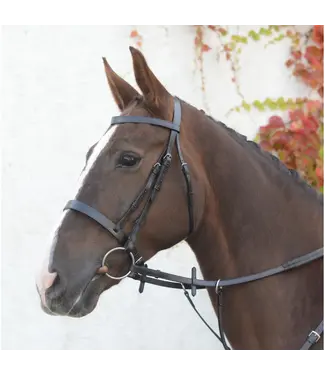 Mackey MACKEY CLASSIC HUNT BRIDLE & REINS