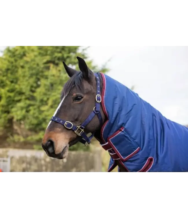 KEADEEN PLUS FULL NECK HEAVY OUTDOOR RUG 300g - Navy/Burgundy