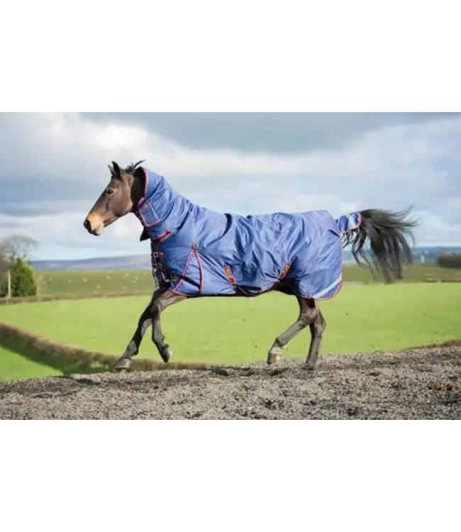 KEADEEN PLUS FULL NECK HEAVY OUTDOOR RUG 300g - Navy/Burgundy