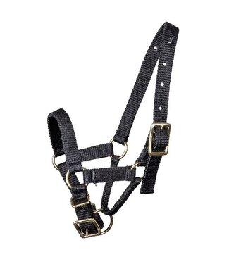 WALDHAUSEN ALPACA HALTER Black