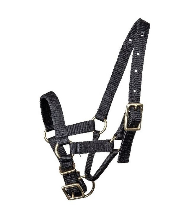 ALPACA HALTER Black