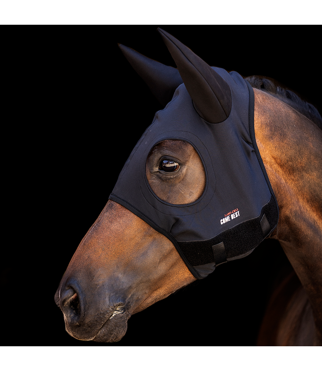 LAMI-CELL COME BEST TITANIUM MASK w/EARS - Black