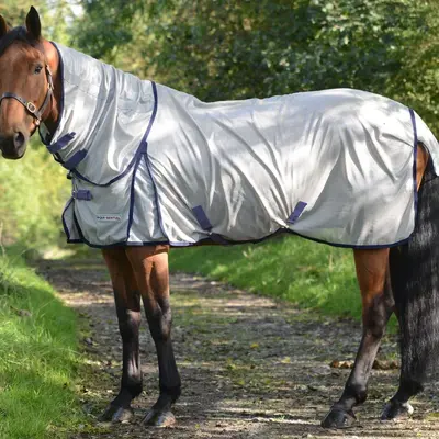 Fly Sheets & Fly Masks