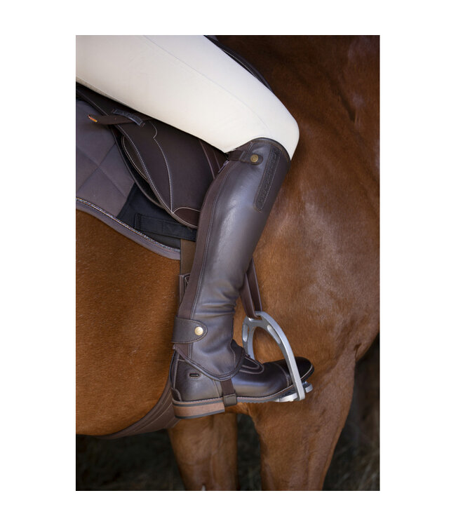 EQUITHÈME SOFT LEATHER HALF CHAPS - Havana Short