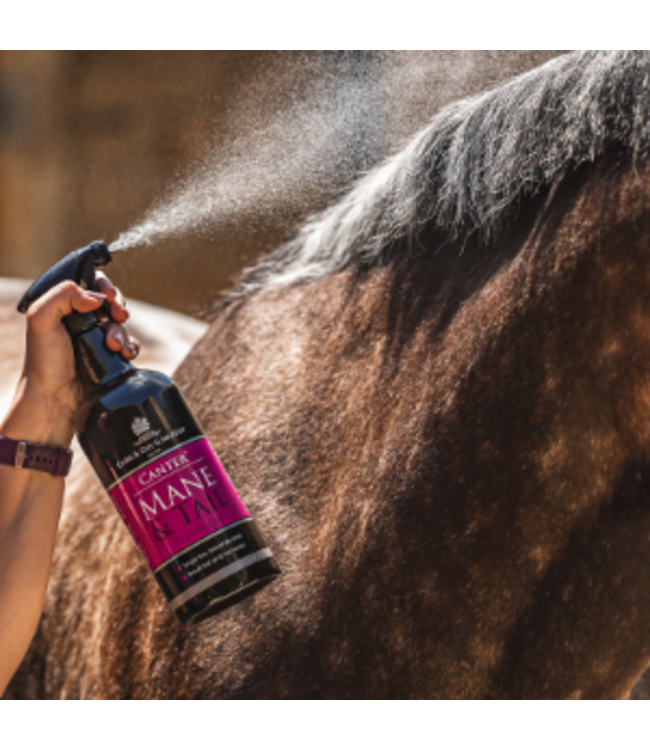 CDM CANTER MANE & TAIL CONDITIONER