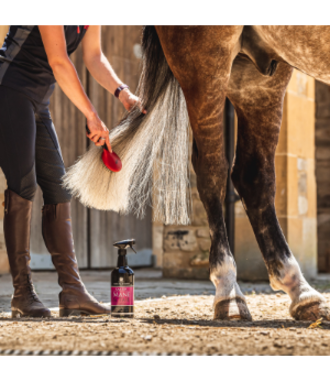 CDM CANTER MANE & TAIL CONDITIONER