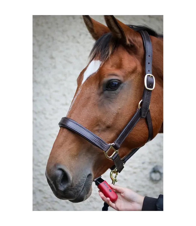 LIVERYMAN ROBIN TRIMMER