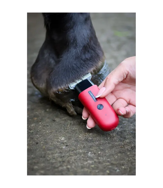 LIVERYMAN ROBIN TRIMMER