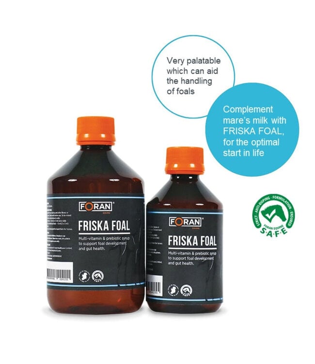 FORAN FRISKA FOAL