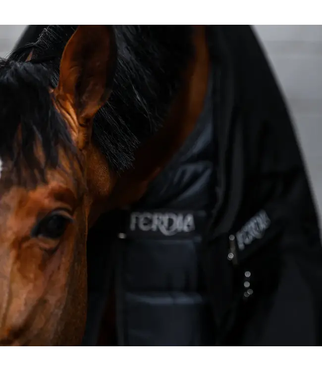 FERDIA  SETANTA 600D 0g - Black