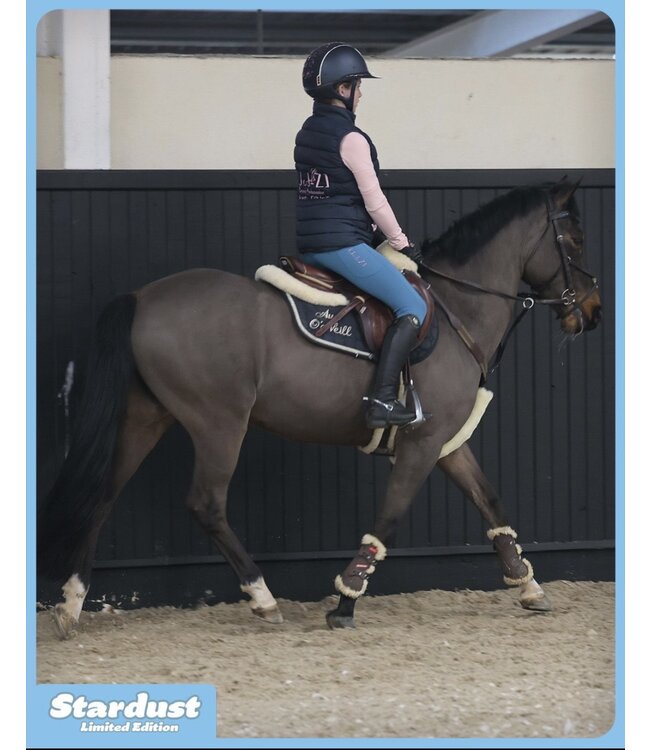 JOD-Z RIDING LEGGINGS - StarDust (Limited Edition)