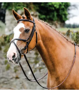 Mackey MACKEY CLASSIC PADDED GRACKLE BRIDLE - Brown