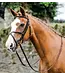 Mackey MACKEY CLASSIC PADDED GRACKLE BRIDLE - Brown