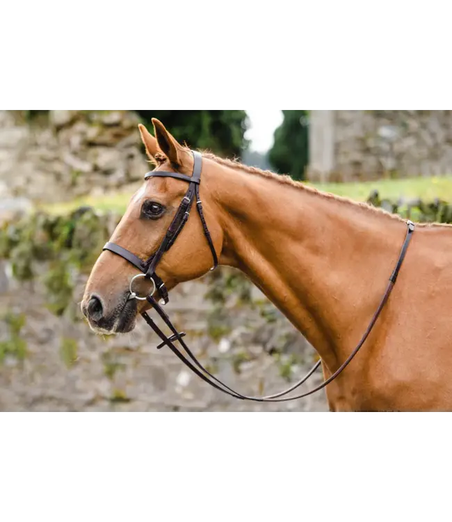 MACKEY CLASSIC HUNT BRIDLE & REINS - Brown