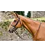 Mackey MACKEY CLASSIC HUNT BRIDLE & REINS - Brown