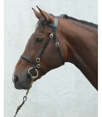 Mackey MACKEY CLASSIC IN-HAND BRIDLE - Black