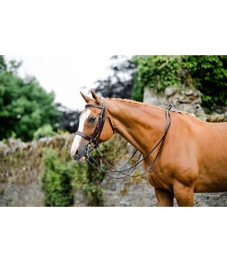 Mackey MACKEY CLASSIC DOUBLE BRIDLE - Brown