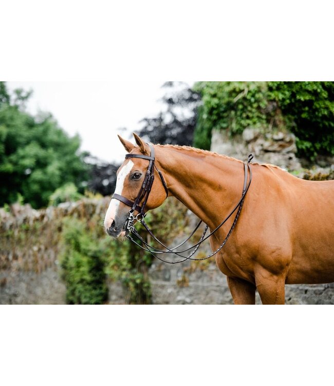 MACKEY CLASSIC DOUBLE BRIDLE - Brown