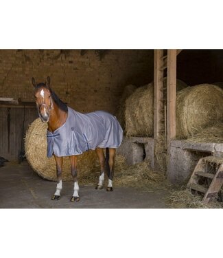 Equithème EQUITHÈME 'COOL DRY' SHEET - Grey