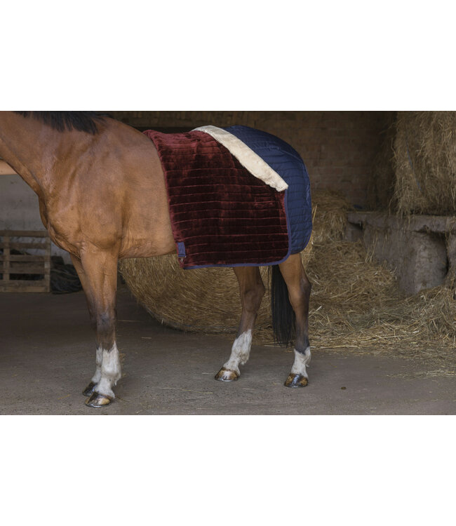 EQUITHÈME 'TEDDY' STABLE RUG - Navy/Ecru