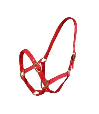 Turfmasters TM NYLON HEADCOLLAR - Red