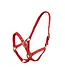 Turfmasters TM NYLON HEADCOLLAR - Red
