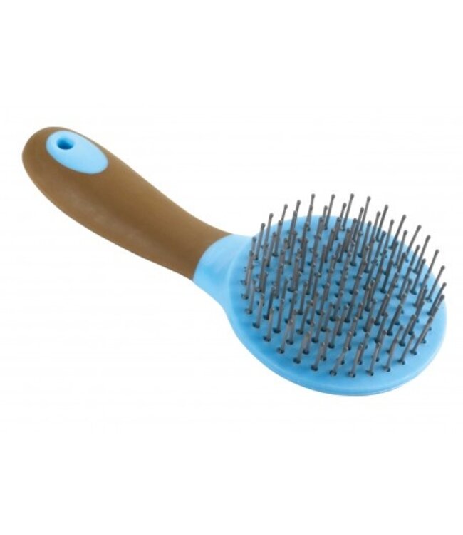 HIPPOTONIC MANE BRUSH