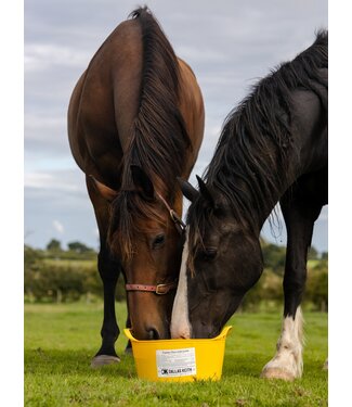 Dallas Keith DALLAS KEITH EQUINE FLEXI TUBS 5kg - Garlic