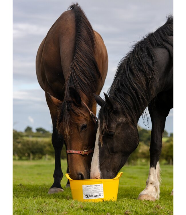 DALLAS KEITH EQUINE FLEXI TUBS 5kg - Garlic