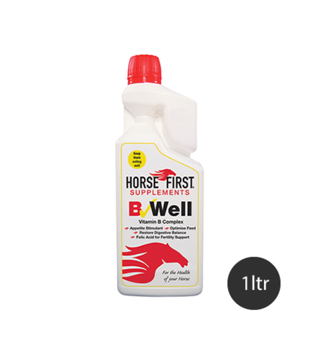 HORSE FIRST 'B-WELL'