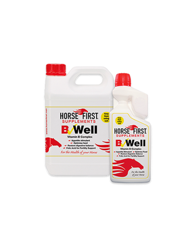 HORSE FIRST 'B-WELL'