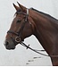 Mackey MACKEY CLASSIC FLASH BRIDLE - Brown