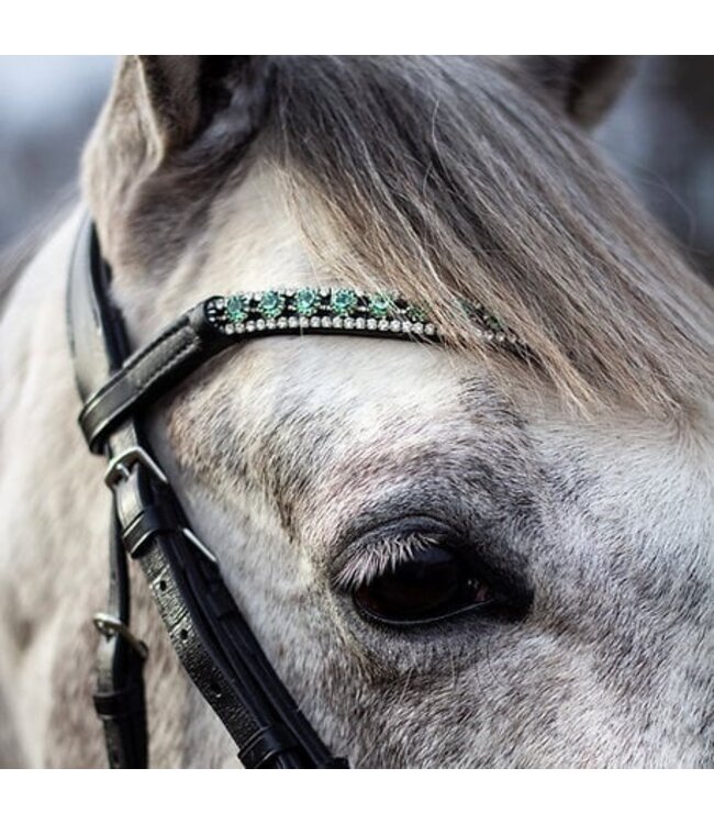 DAPPLE 'PINE' BROWBAND - Black
