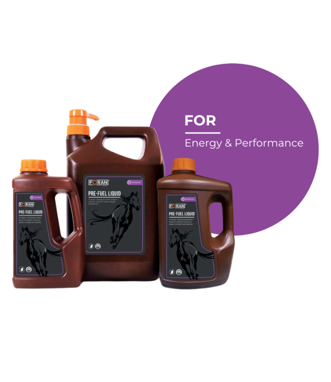 FORAN'S PRE-FUEL LIQUID -1L