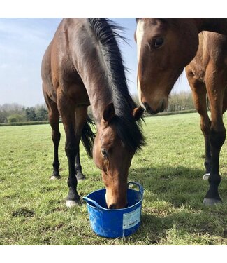 Dallas Keith DALLAS KEITH EQUINE FLEXI TUBS 12.5kg - Essential