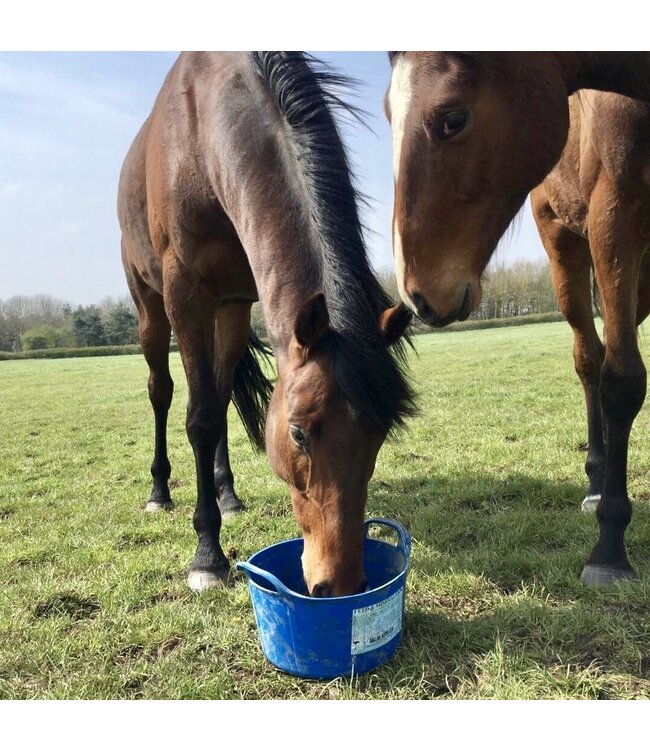 DALLAS KEITH EQUINE FLEXI TUBS 12.5kg - Essential