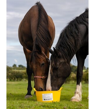 Dallas Keith EQUINE FLEXI TUBS 12.5kg - Garlic