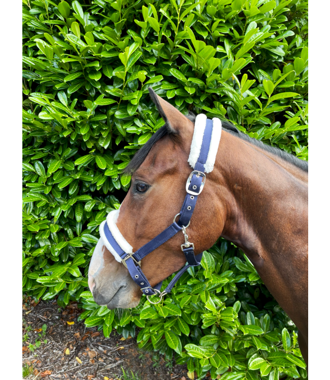 PUISSANCE NYLON HEADCOLLAR with FUR  - Navy