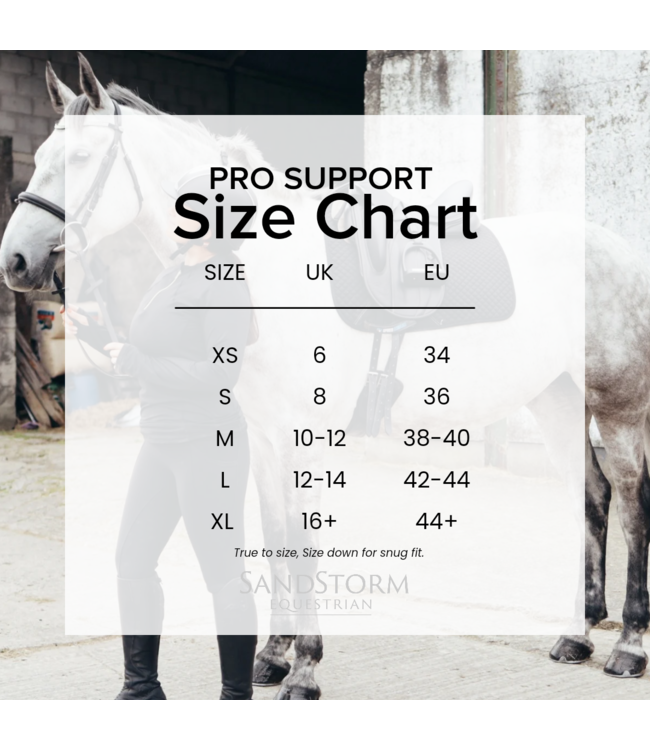 SANDSTORM EVERYDAY COMFORT RIDING LEGGINGS - Hunter Green