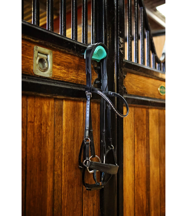 EQUI-HOOKS - Green (shiny)