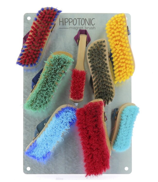 HIPPOTONIC MAGNET BRUSH