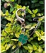 SHAMROCK BRIDLE CHARM